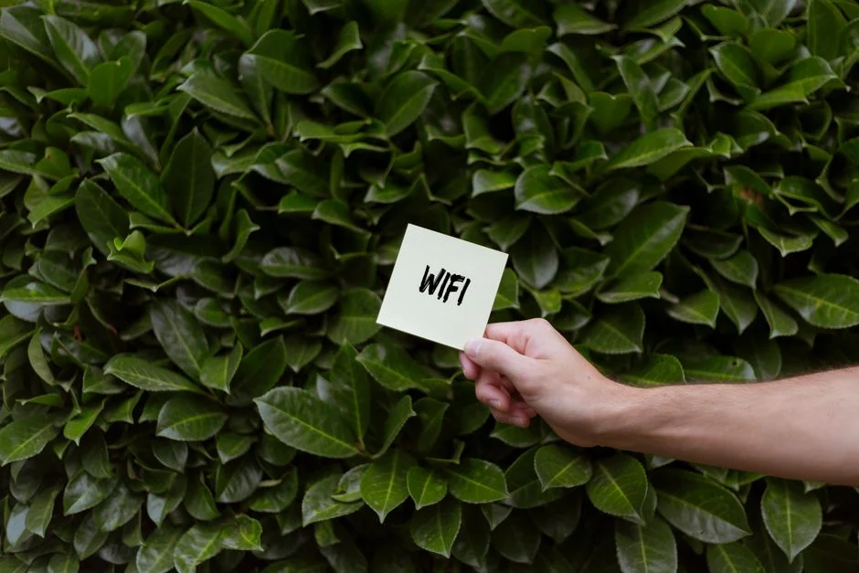 Seorang pengguna sedang memeriksa pengaturan wifi di laptop mereka.