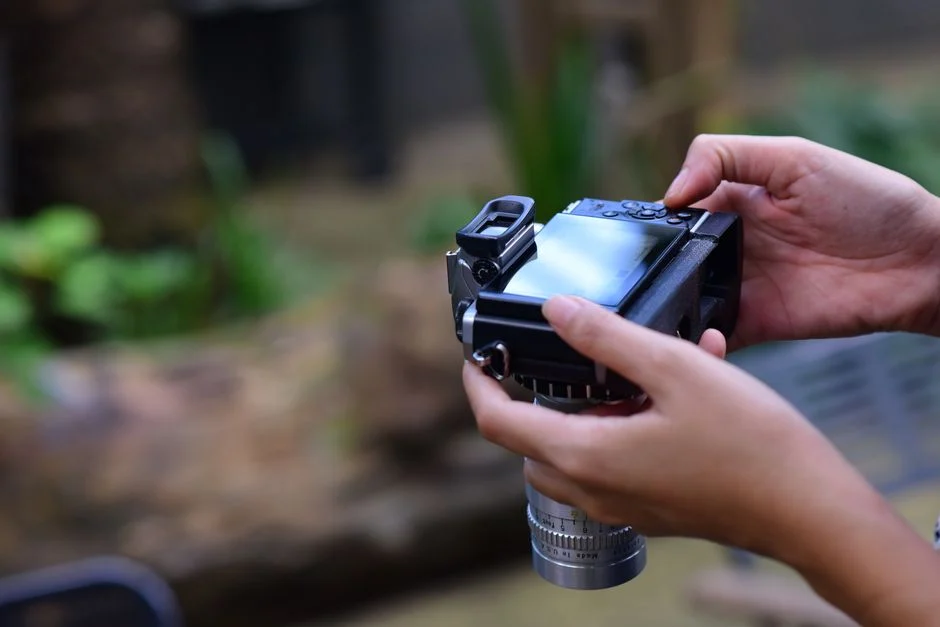 Perbandingan hasil foto dengan ISO rendah (kiri) yang bersih dan ISO tinggi (kanan) yang memiliki noise.